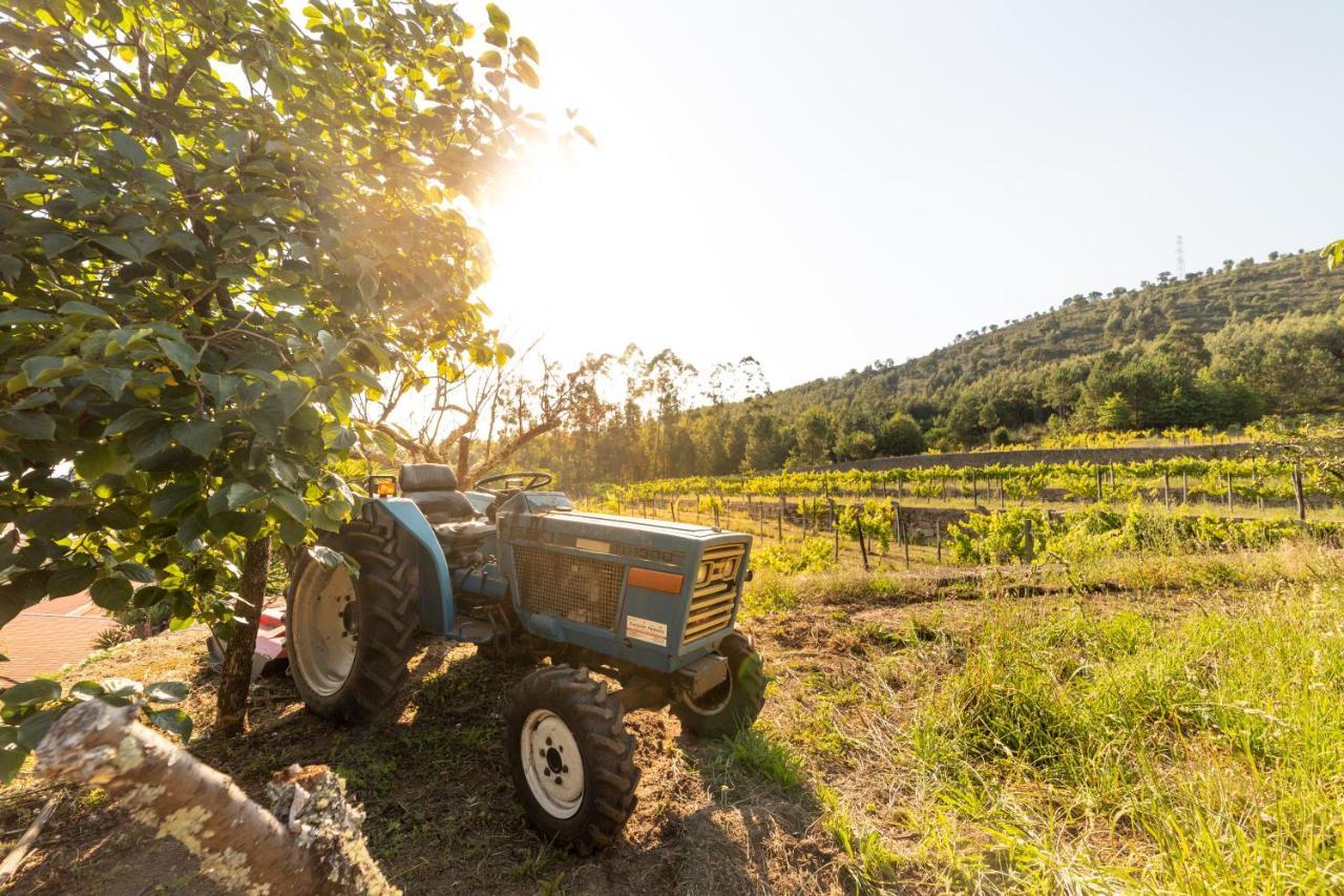 Quinta Da Fonte - Agroturismo Barroselas Buitenkant foto