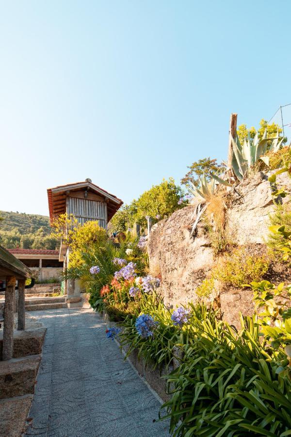 Quinta Da Fonte - Agroturismo Barroselas Buitenkant foto