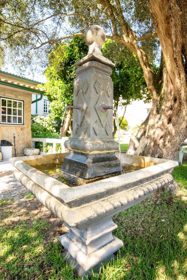 Quinta Da Fonte - Agroturismo Barroselas Buitenkant foto