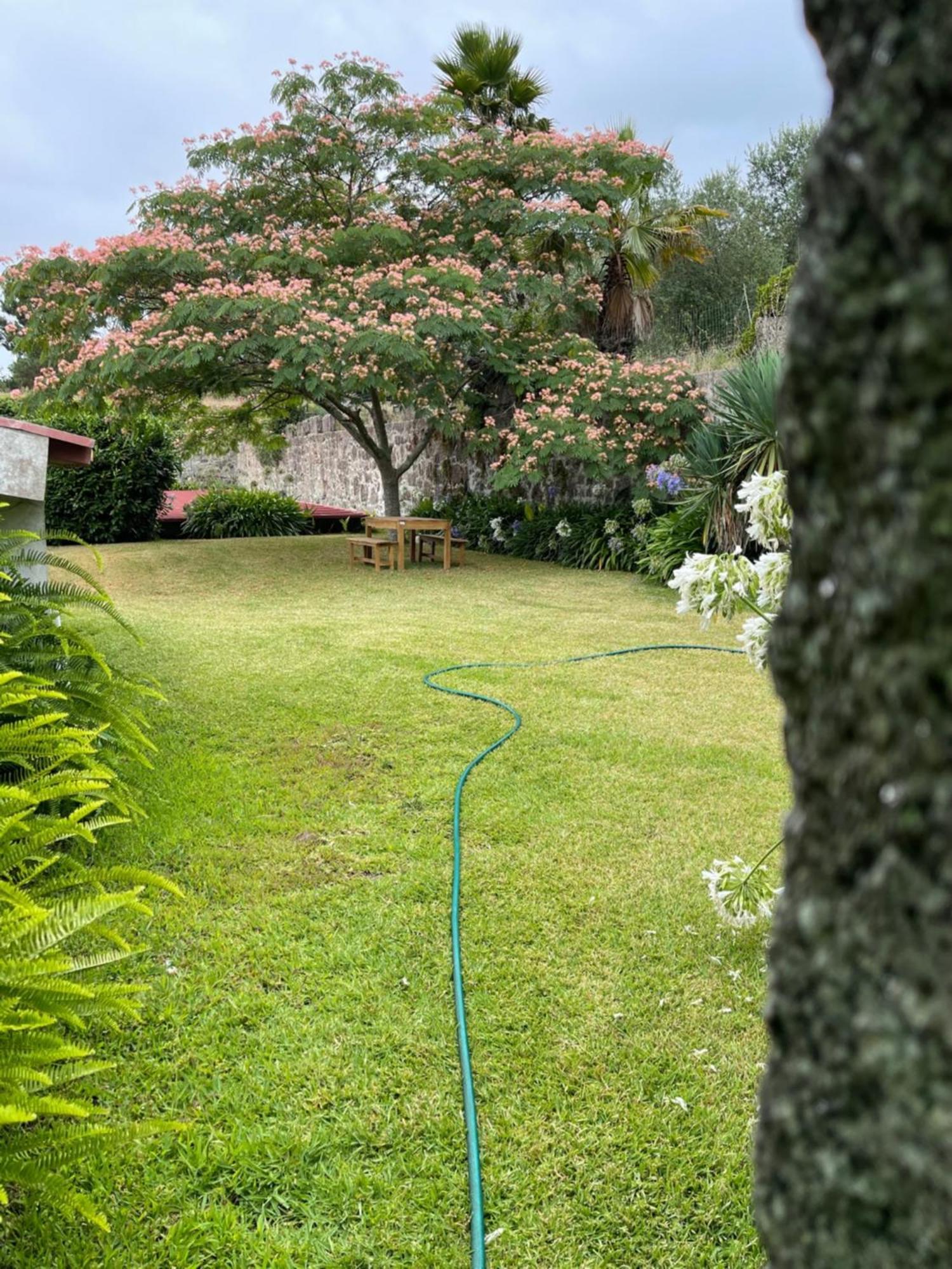 Quinta Da Fonte - Agroturismo Barroselas Buitenkant foto