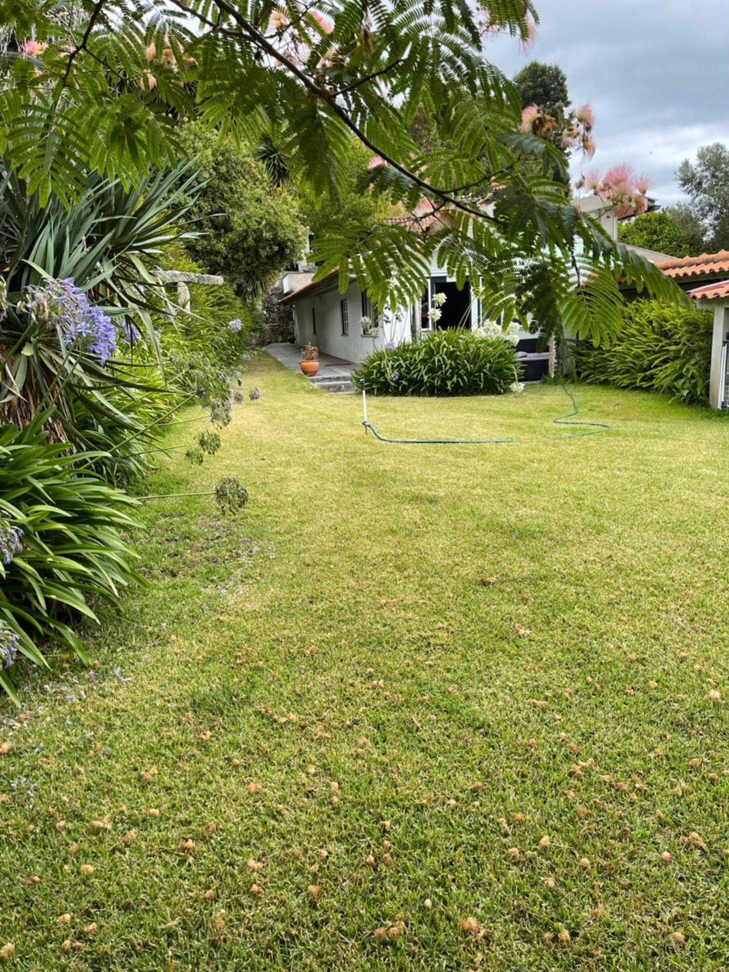 Quinta Da Fonte - Agroturismo Barroselas Buitenkant foto