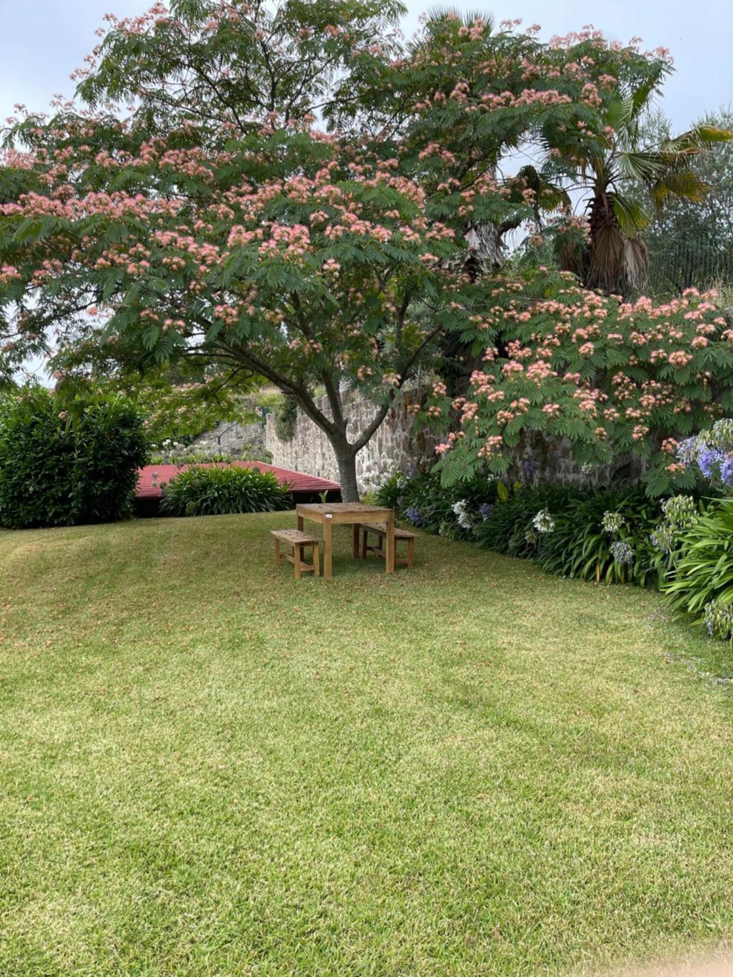 Quinta Da Fonte - Agroturismo Barroselas Kamer foto